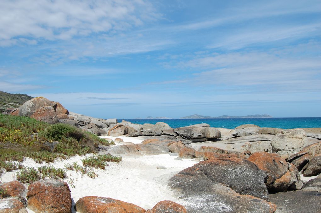 Album - 73 Australie Wilson s Primontory