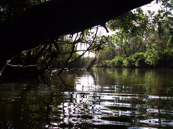 Album - queensland-et-territoire-du-nord