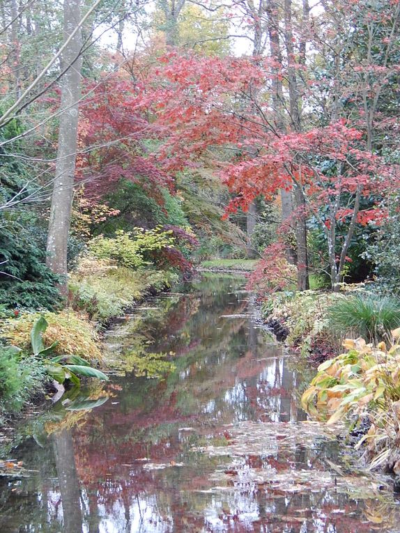 Jardin Arboretum des Ilex -Pres-de-Culands