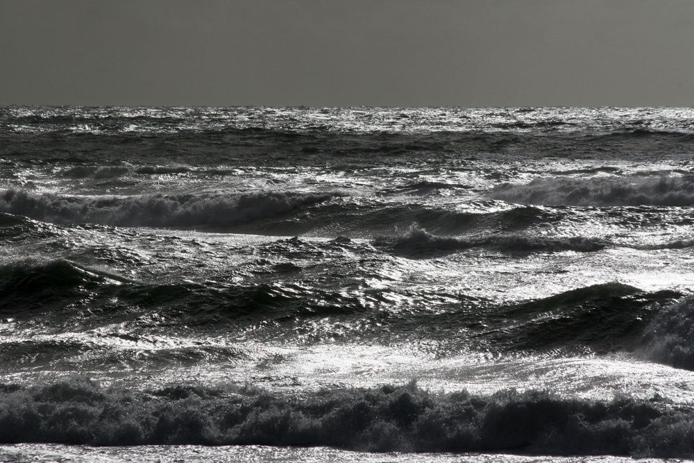 Hiver en Loire-Atlantique - Photos Thierry Weber Photographe La Baule Guérande