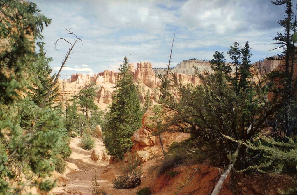 Album - Bryce-Canyon