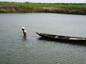 Après les rizières, la pisciculture