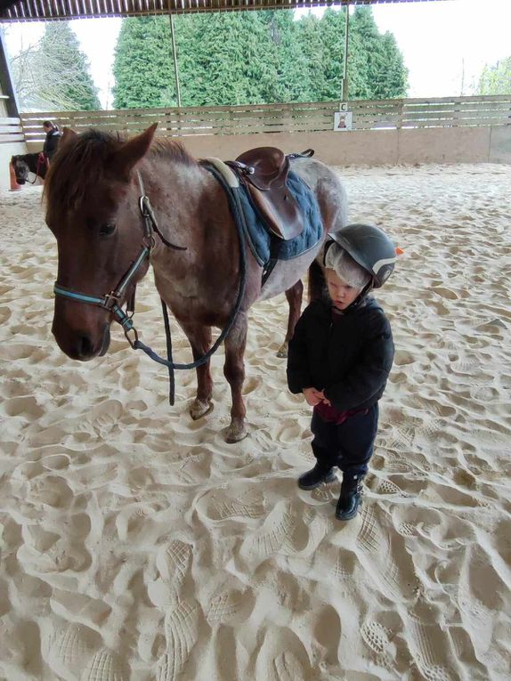 Séance 1 classe TPS PS.  Mardi 2 avril était le grand jour! Nous attendions avec impatience cette matinée poneys qui a fait plaisir à tout le monde! 3 ateliers ont été proposés : découverte de l'animal dans l'écurie, promenade à dos de poneys dans le manège, production artistique et lecture/chants dans la salle d'activité.  vivement la semaine prochaine !