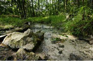 Espaces Naturels Sensibles du Pas-de-Calais, propriétés du Conseil Général ou du Conservatoire du Littoral et gérés par Eden 62.