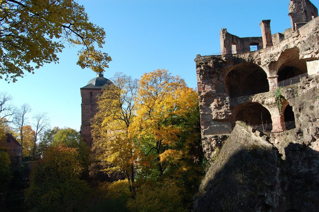 Album - Heidelberg_Herbst_2010