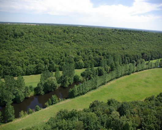 Quelques images de la campagne de l'été 2009