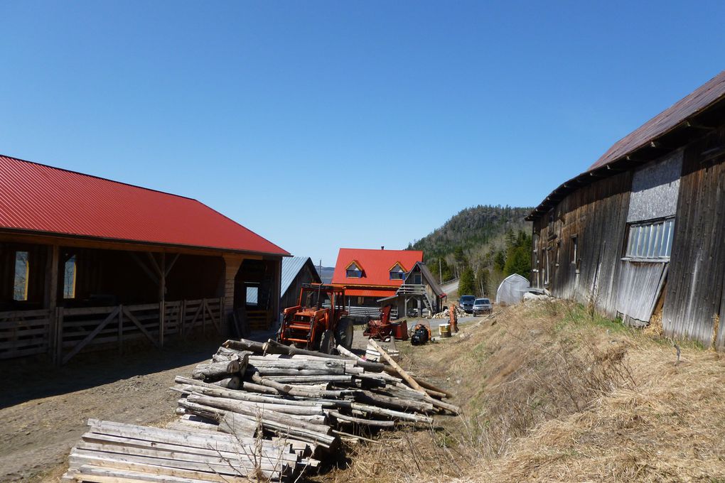 Album - La-Vieille-Ferme