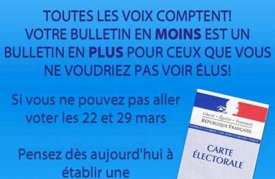 Dimanche 22 mars 2015 - élections départementales