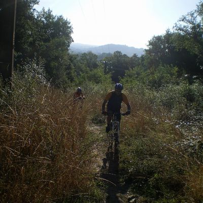 SF 2013 : Mauves-sur-Loire