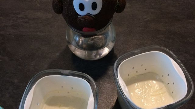 Yaourts grecs à la multidélice