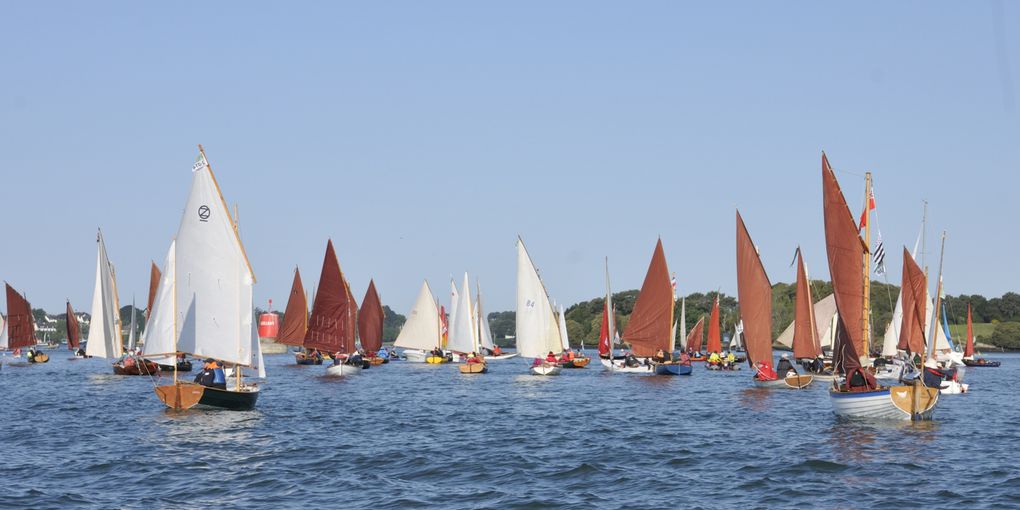 La semaine du Golfe du 16 mai au 19 mai 2023, à bord de la Petite Lili