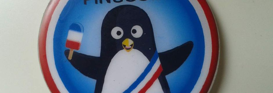 Votez Pingouin!