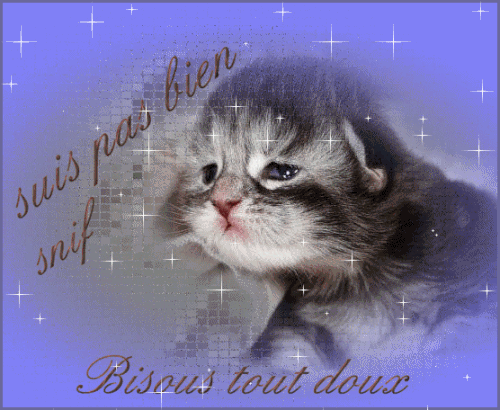 Le Blog De Gypsy C Est Mon Havre De Paix Mon Coin Detente J Y Parle De Mes Passions Le Crochet M Occuper De Mes Ptits Arbres Bonsai Depuis Quelque Temps Les