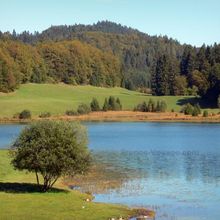 SORTIE DANS LE HAUT-BUGEY