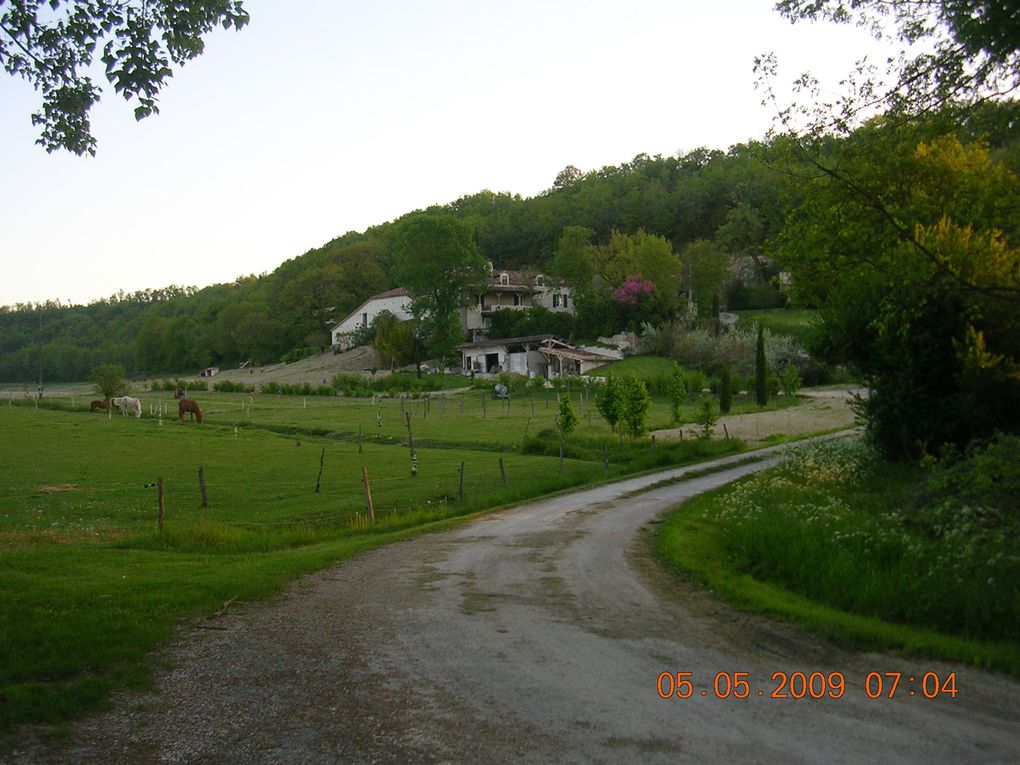 Album - De-Lascabanes---Lauzerte