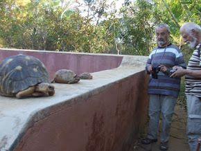 D'autres animaux .....