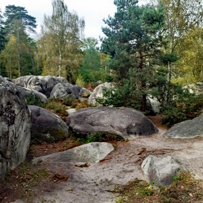 De Bois-le-Roi à Fontainebleau à travers la forêt.