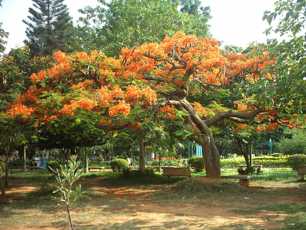 Bangalore, Kundapur, Gokarna, Palolem, Hampi, Mysore, Ooty, Pondicherry, Mamalapuram, chennai, rameswaram, Kanyakumari