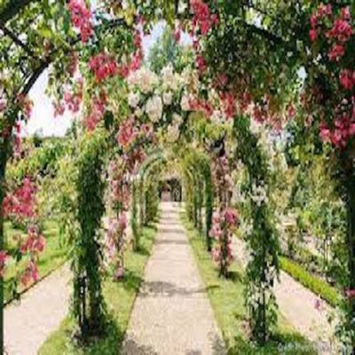 "R1-C7 | PRIX ANDRE LOUIS DREUX 02 FEV 2024 À 20H15 HIPPODROME DE VINCENNES (R1) 16 PARTANTS - 53000€ - 2850 MÈTRE"