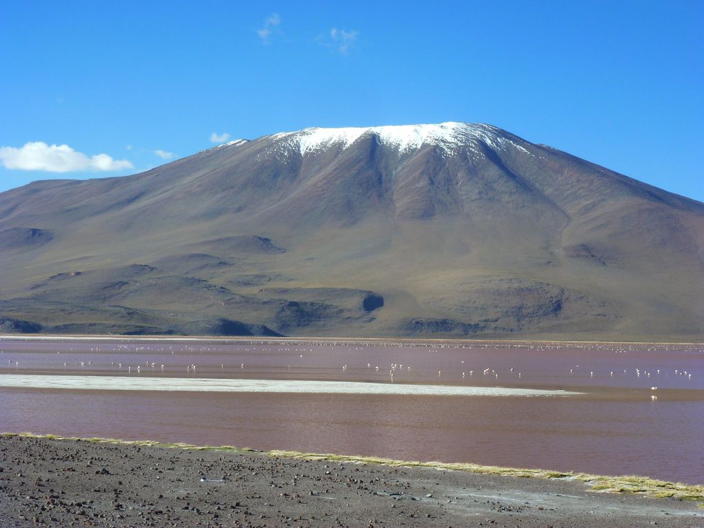 Découvrez avec cet album les multiples facettes de la Bolivie. Avec l'Amazonie, le désert de sels, ses lacs, on ne peut qu'être émerveillé.