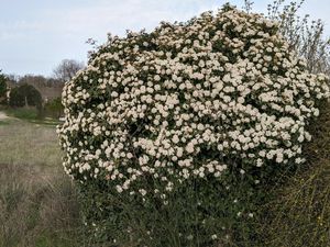 mais avec quelques beaux clins d'oeil au fil des sentiers