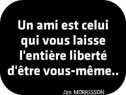 Les nouvelles synthèses transgressives: comment repenser la liberté et son écosystème?