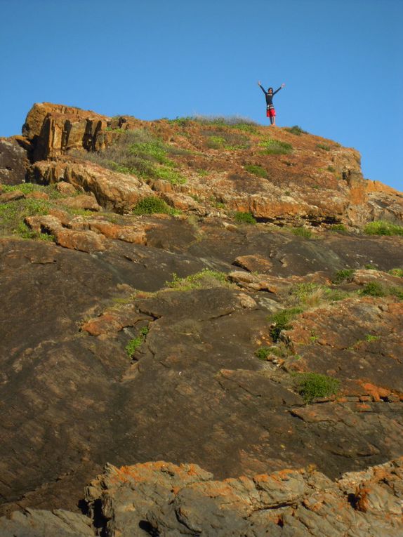 Album - VM. AUSTRALIE - Seal Rocks