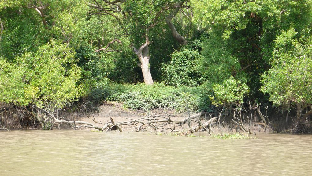 Album - Adelaide-River