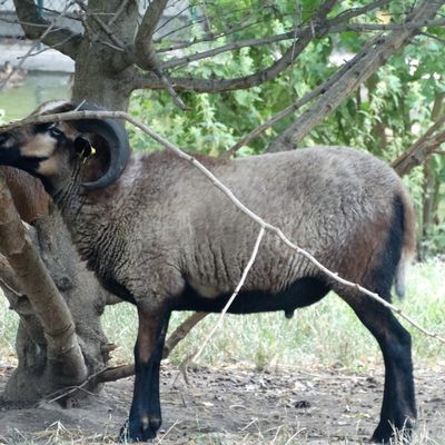 Voyage au Queyras : le retour par Briançon et Valence (suite5)