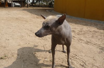 De mardi 28 à jeudi 30 sept. Chiclayo