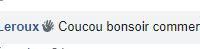 Toujours la prose primaire et stupidement obséquieuse ...