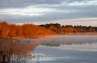 Activités à découvrir proche de nos chambres d'hôtes, dans les Landes à Morcenx 40110