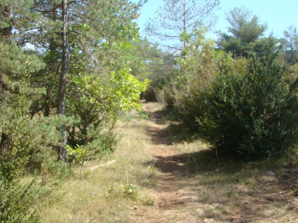 Rando à St Sauveur du Larzac Jeudi 13/09/2018