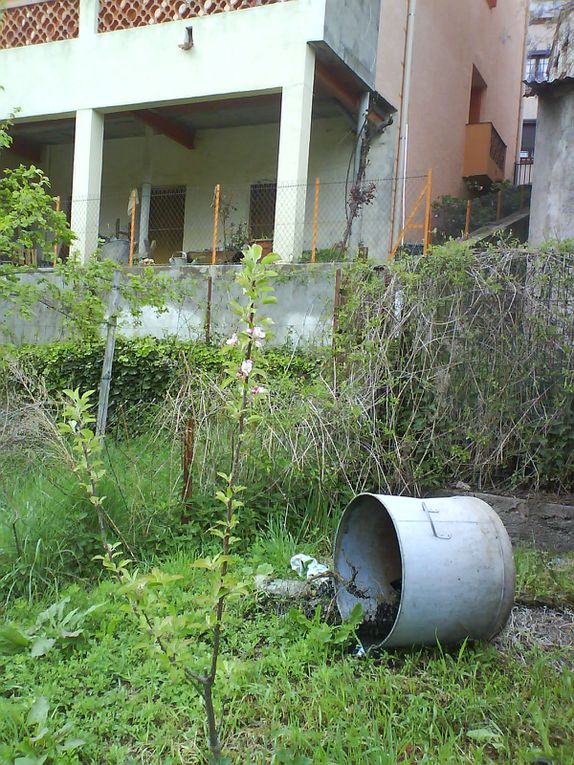 la nouvelle vie du jardin en avril 2011