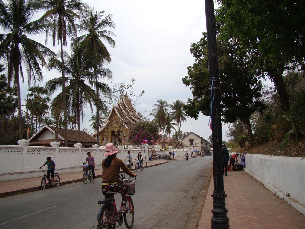 Album - 2012-03-11-LAOS--Luang-Prabang