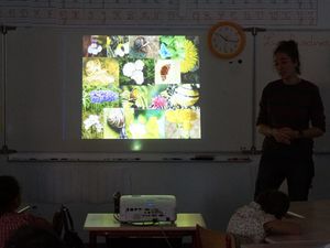 Mai-juin 2014 : Chercheurs dans l'Herbe (animations dans les écoles de Cahors)