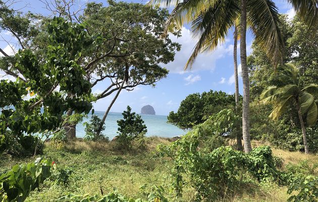 « La Martinique, l’île aux fleurs » Diaporama Cathy et Pierre Melin