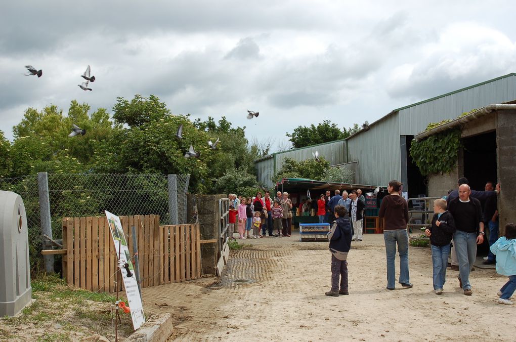 Album - ferme-ouverte-2008-Combrit