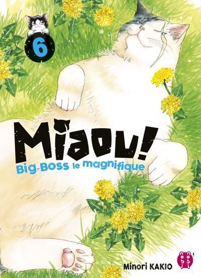 MIAOU, Big-Boss le magnifique 