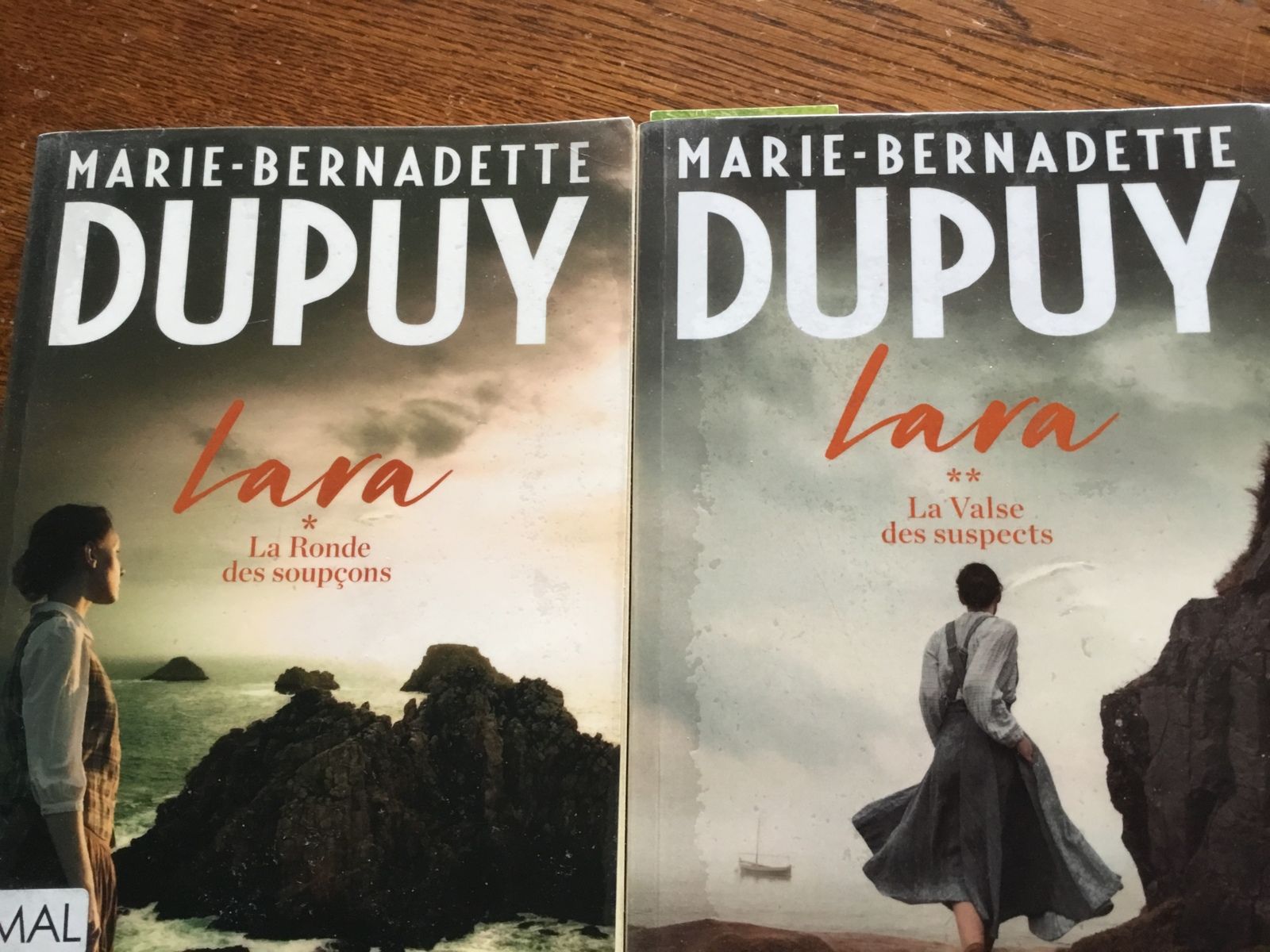 Marie bernadette Dupuy Lara Combien De Tomes Lara, un ouvrage de Marie-Bernadette DUPUY : un roman captivant