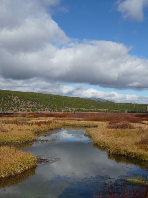 Album - 15.Yellowstone (Wyoming-octobre)