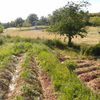 Actualité de la Permaculture à l'Oasis de Lentiourel