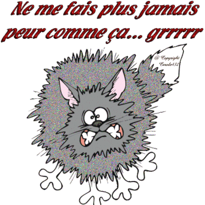 Ne me fais plus jamais peur comme ça - Chat - Gif scintillant - Gratuit