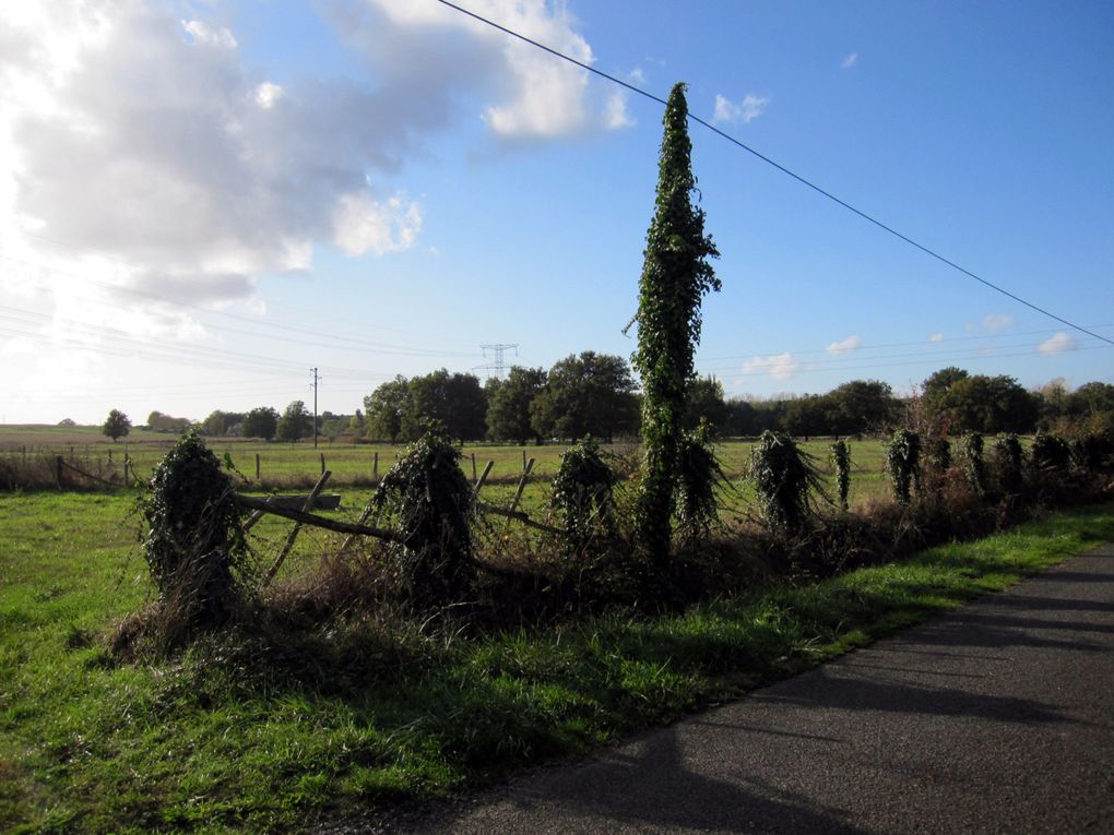 balades à vélo