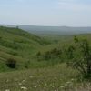 Vashlovani National Park: ვაშლოვანის ეროვნული პარკი