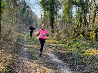 Trail des Monts de Gy 2022 : les photos