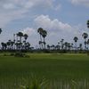 Les temples d'Angkor