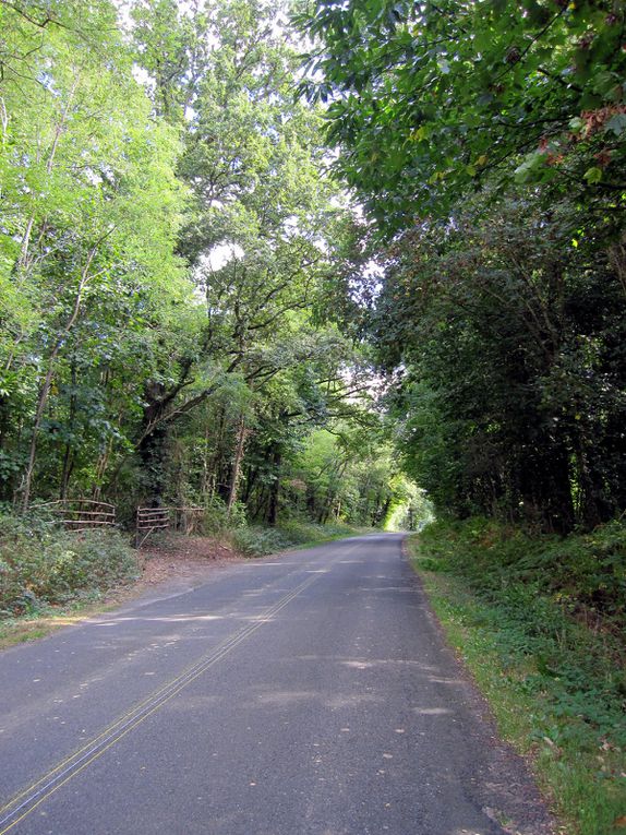 balades à vélo