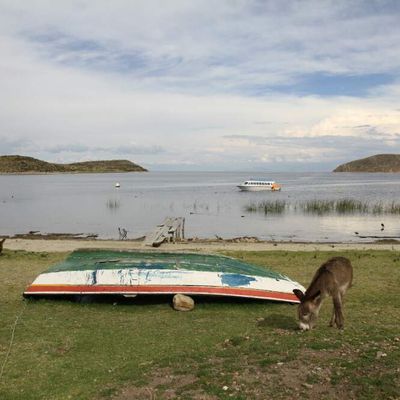 Le reveillon au bord du lac Titicaca