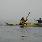 Pagaie groenlandaise - Stage CK/mer - Février 2015 - Randonnées kayak : les balades de Yanike et de Rabiou II